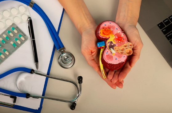 Kidney Health-significance of early screening and proactive care in preserving kidney function
